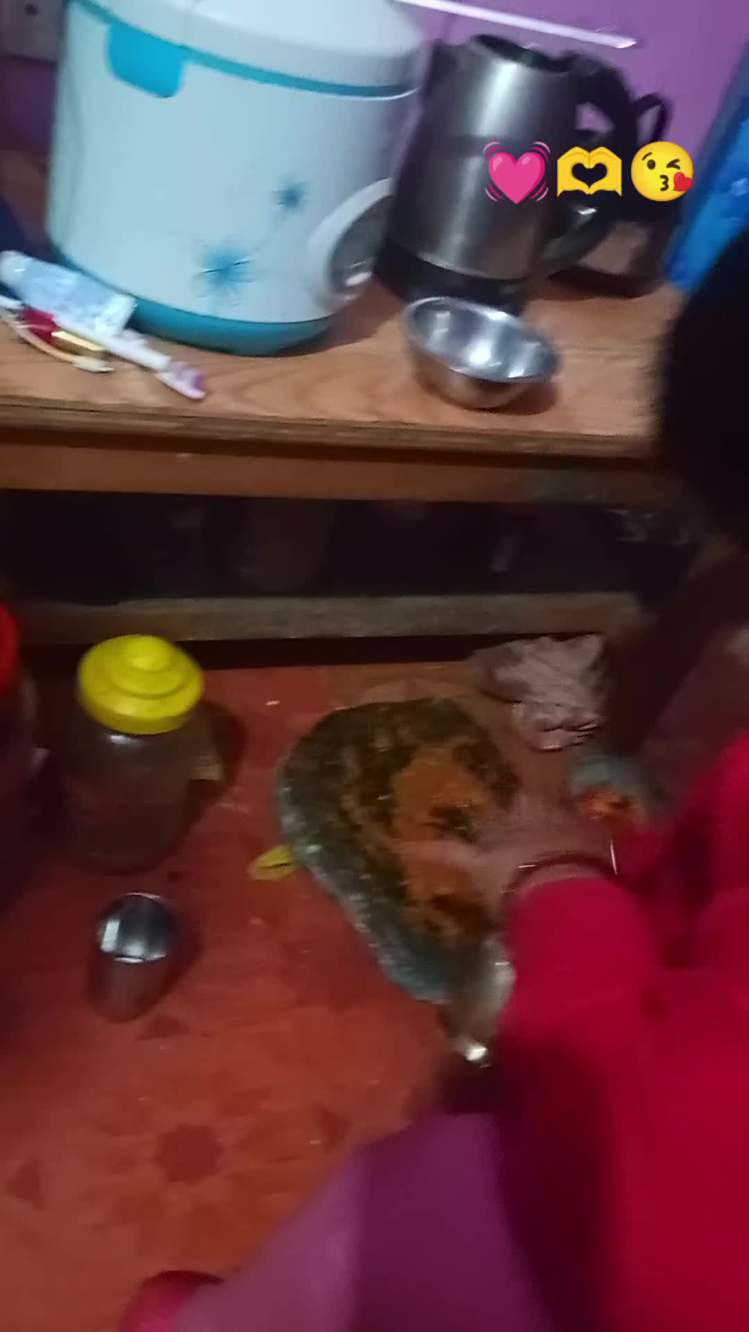 @janu khadka