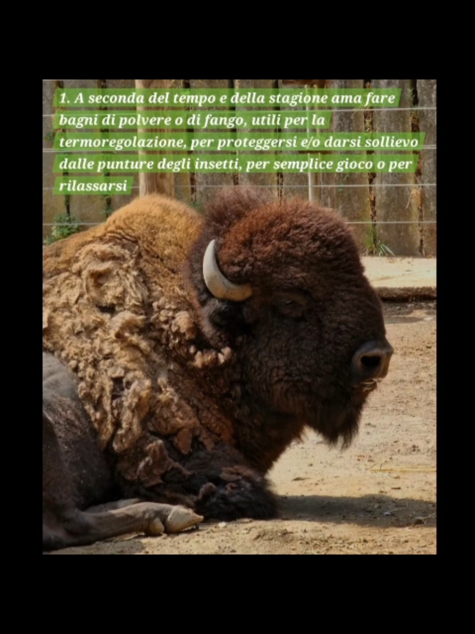 @Parco Zoo delle Star