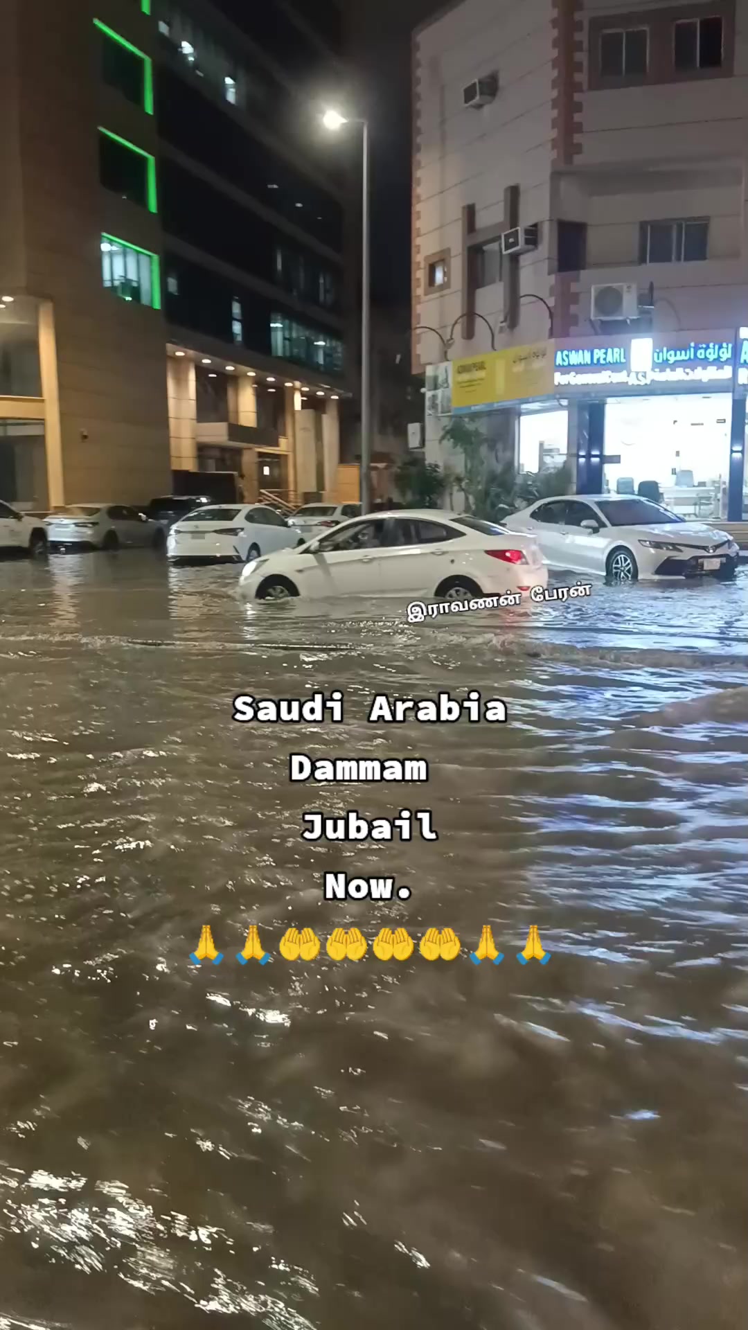 @🐯🇸🇦இராவணன் பேரன்🇸🇦🐯
