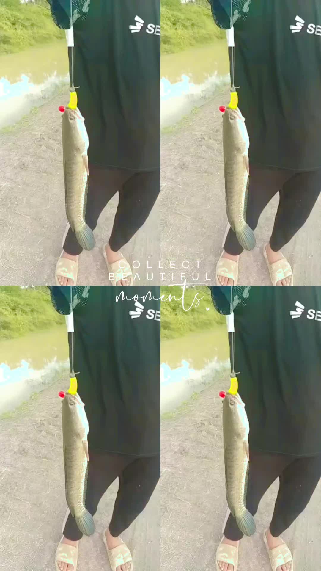 @LINSUKASUKI
