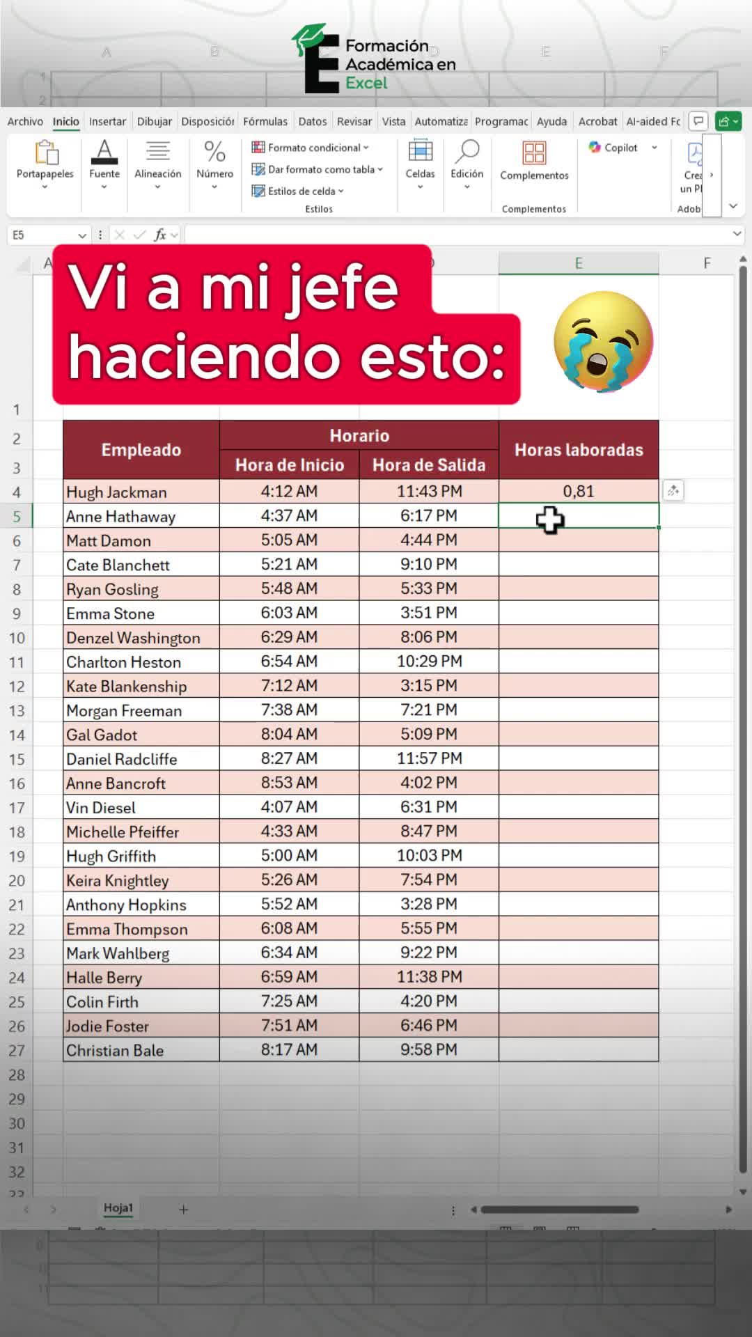 @FAE Formaci&oacute;n Acad&eacute;mica Excel