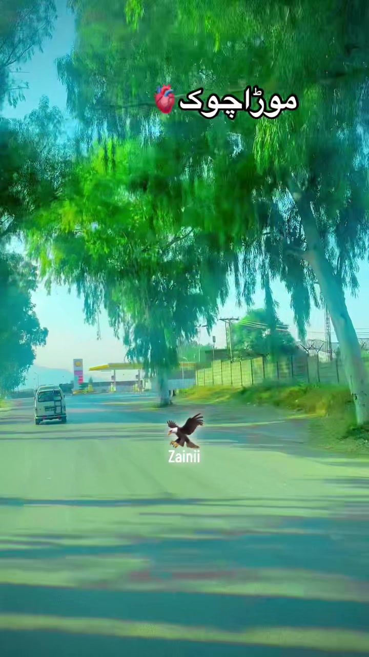 @جانی❣️z