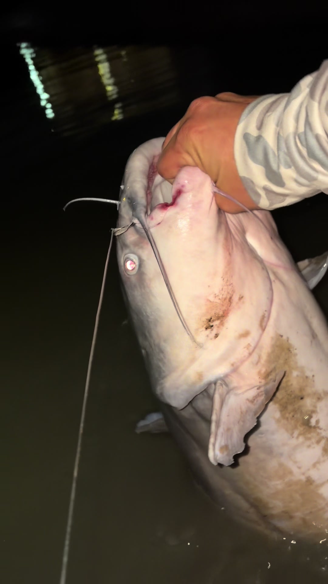 @LOW_BUDGET_FISHING