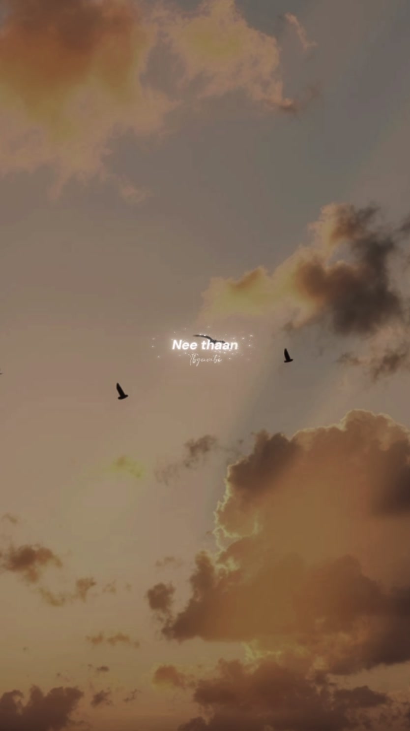 @𝓣𝓪𝓶𝓲𝓵 𝓼𝓽𝓪𝓽𝓾𝓼 ♡