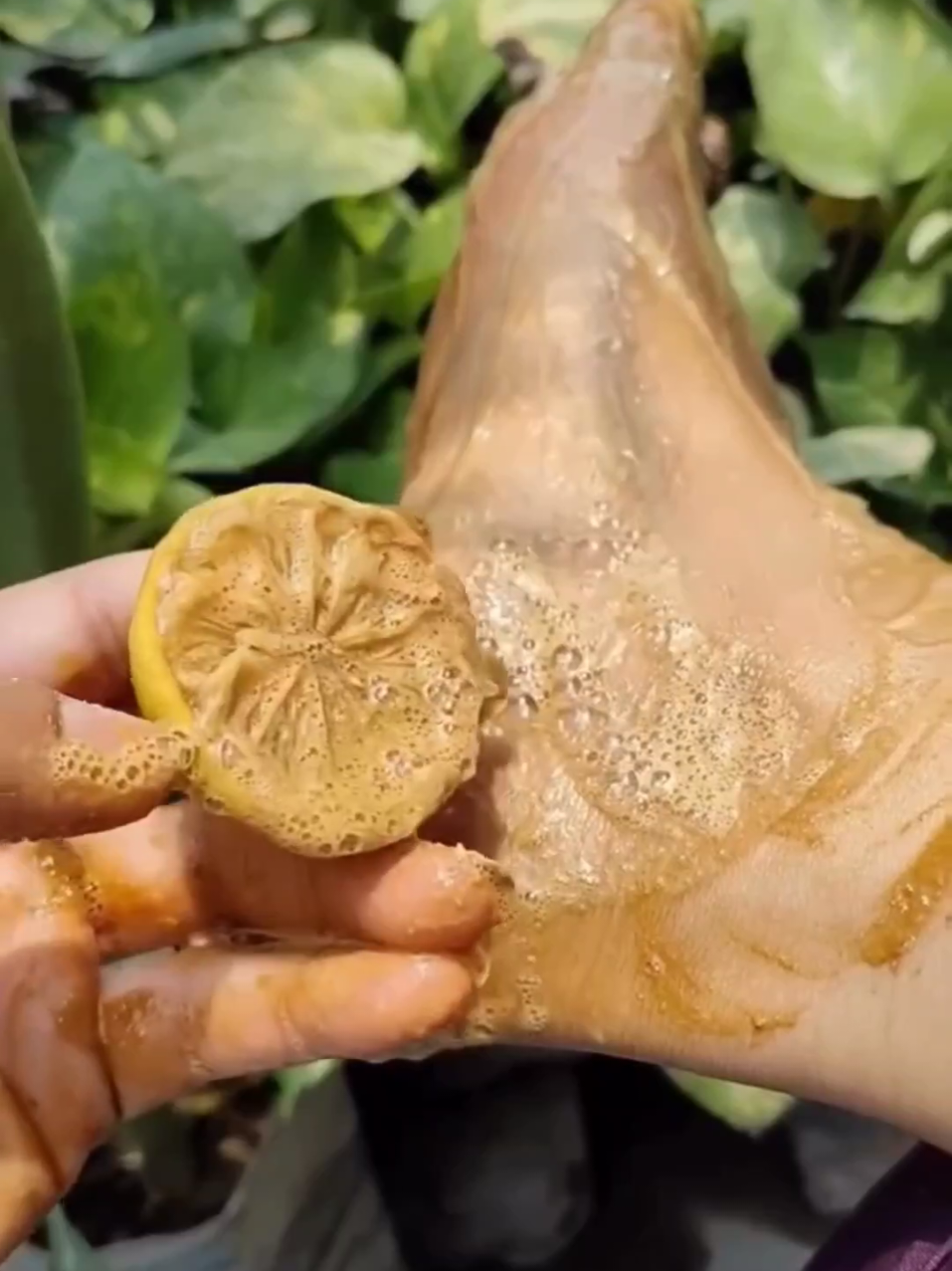 @Natural Beauty Remedy