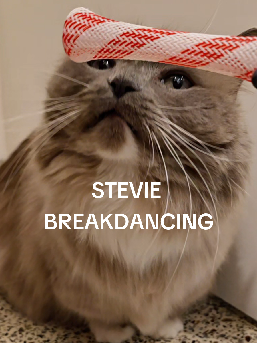 @Stevie & Nonna