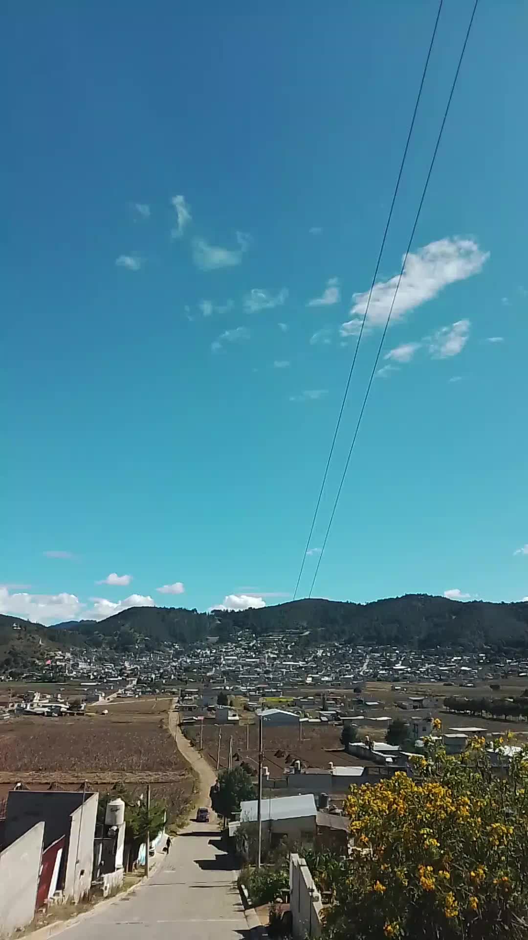 @franciscorodrig45473