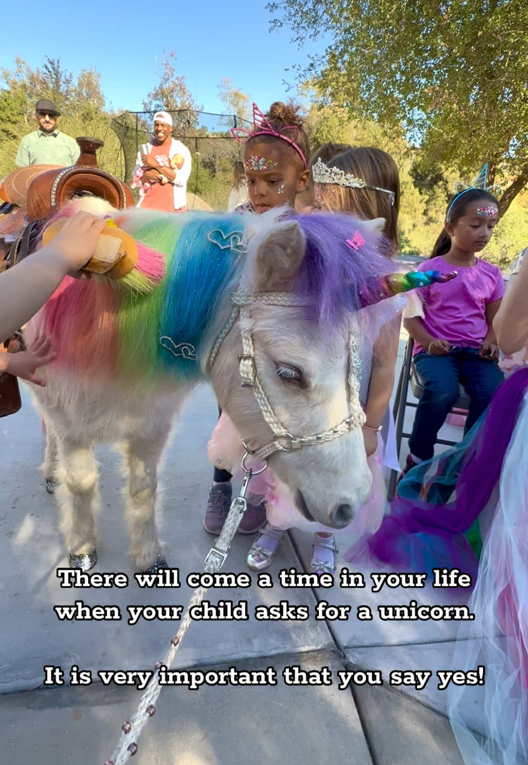 @The Posh Unicorn