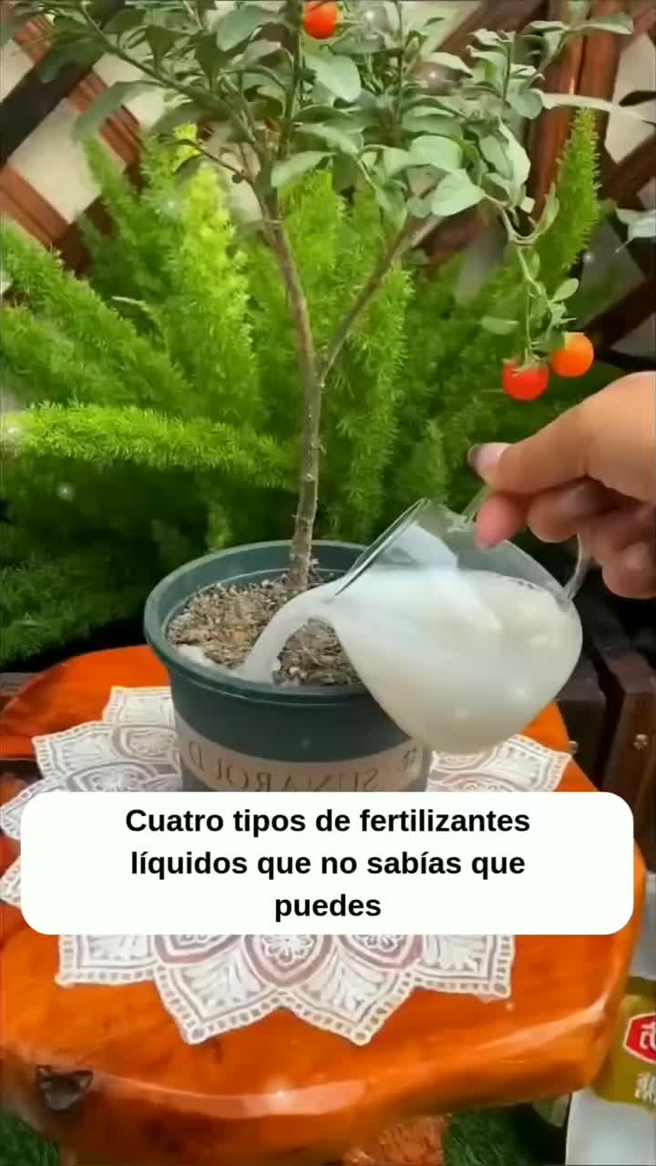 @MIJARDIN
