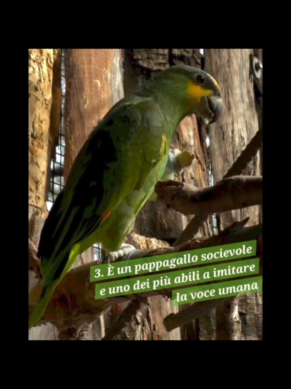 @Parco Zoo delle Star