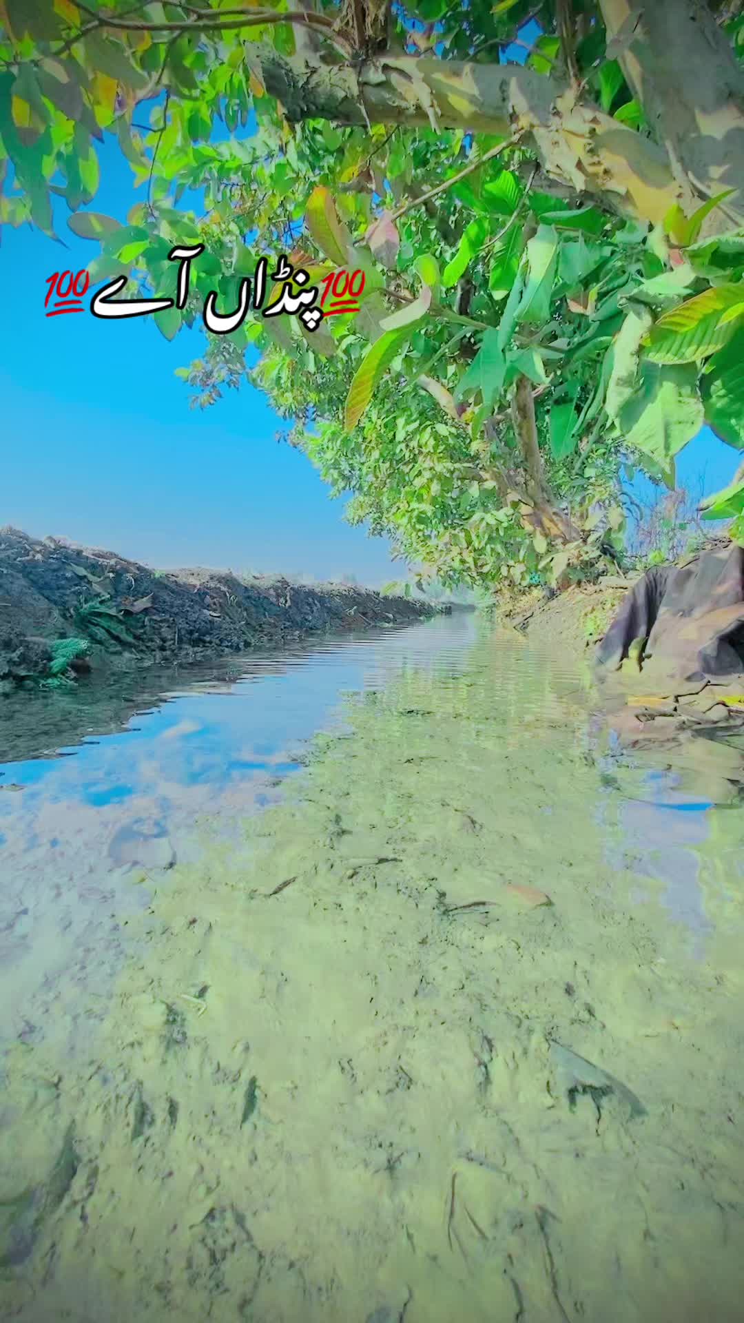 @🤫🫶عرفان 🌹🫣جانی ❌