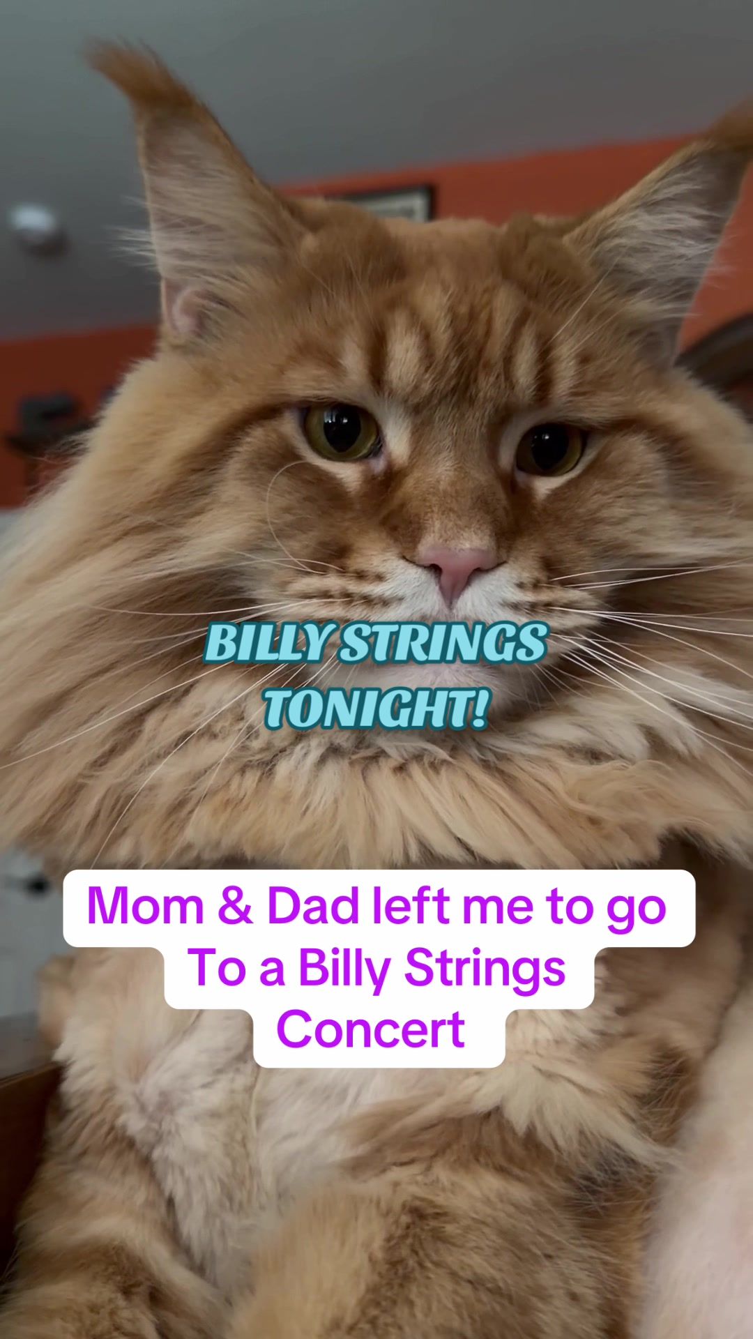 @Theodore Scritches McWiggles
