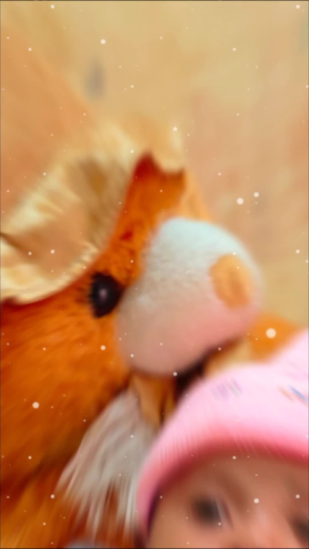 @anmolthapa0353