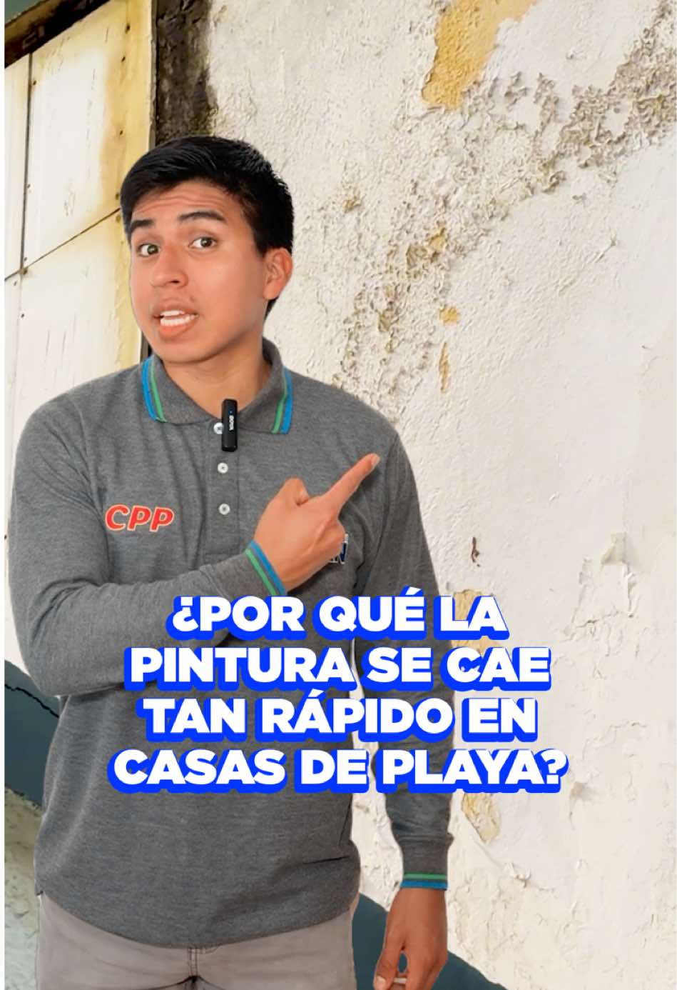 @Grupo Wigan|Pinturas por Mayor