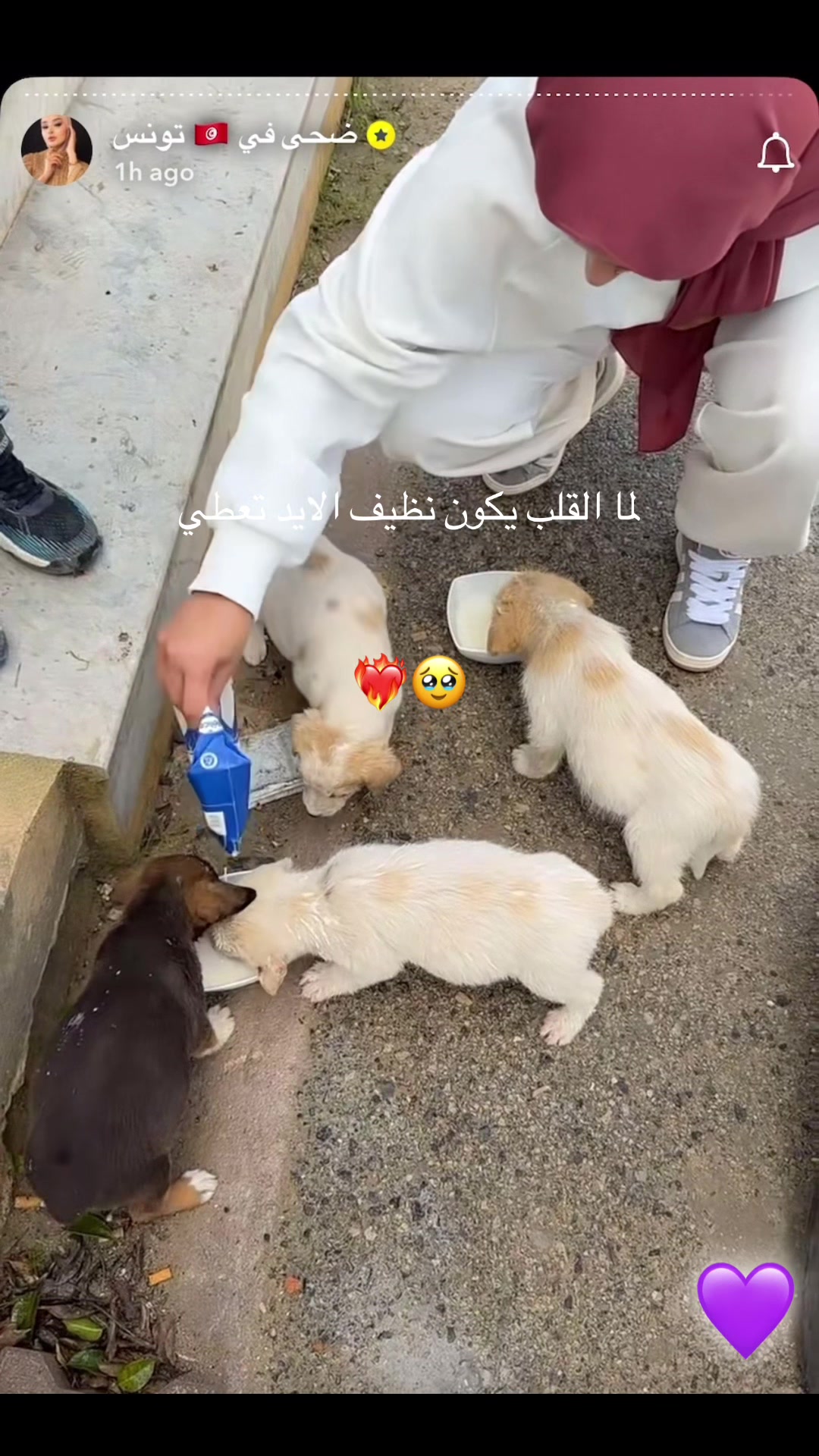 @💜D🎀🇦🇪🫡
