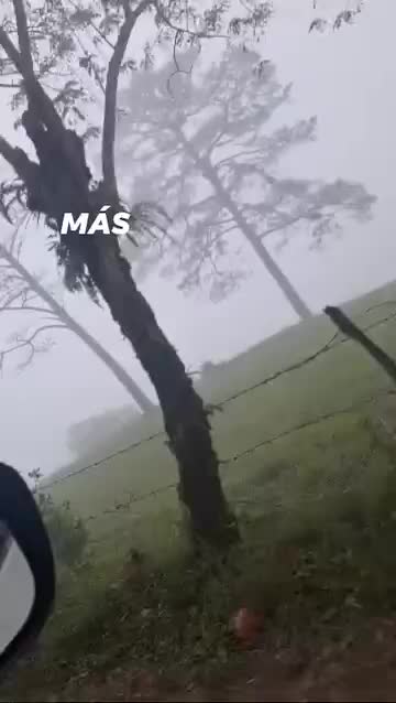 @ELIOT S&Aacute;NCHEZ