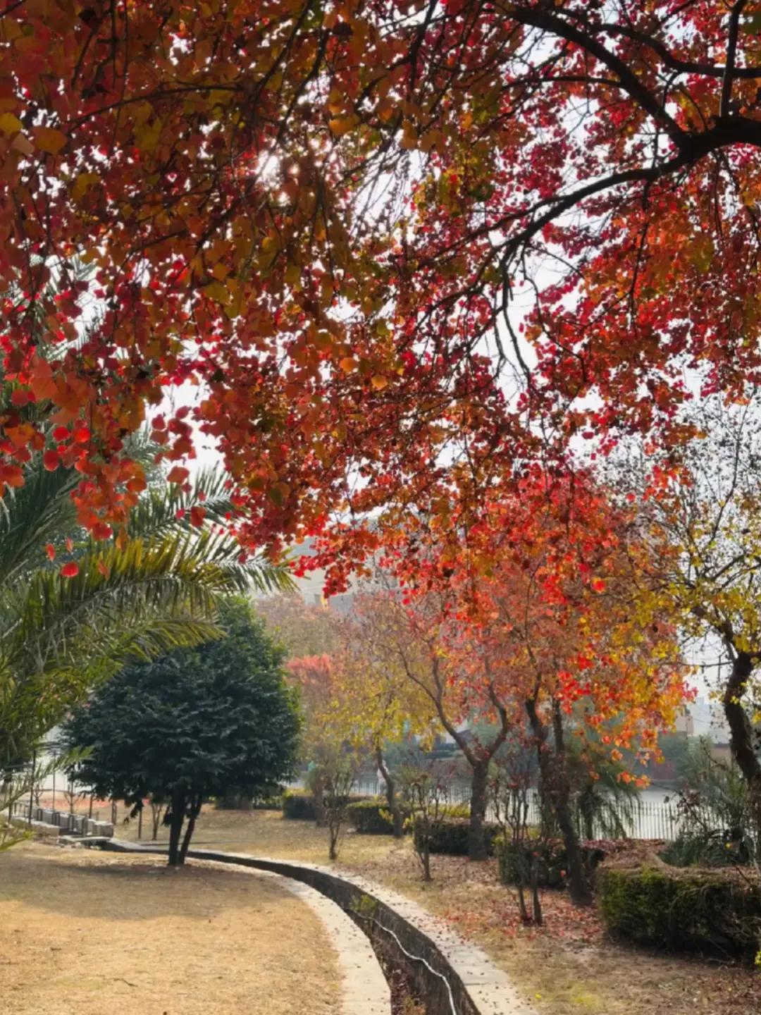 @tayyabakashif678