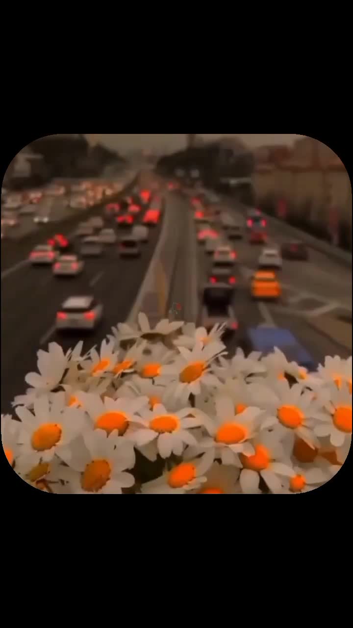 @𝓐𝓲𝔃𝓾🥀