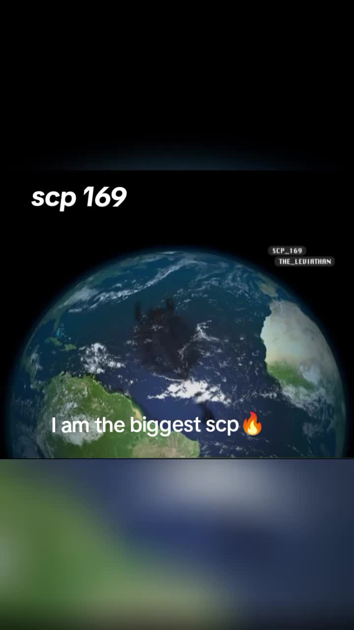 @why?🤡