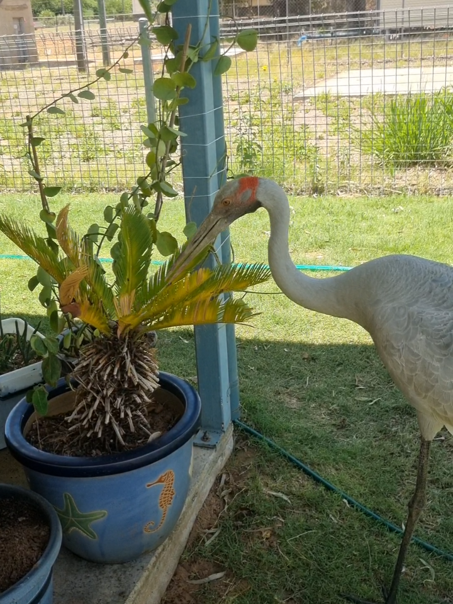 @SM Wildlife