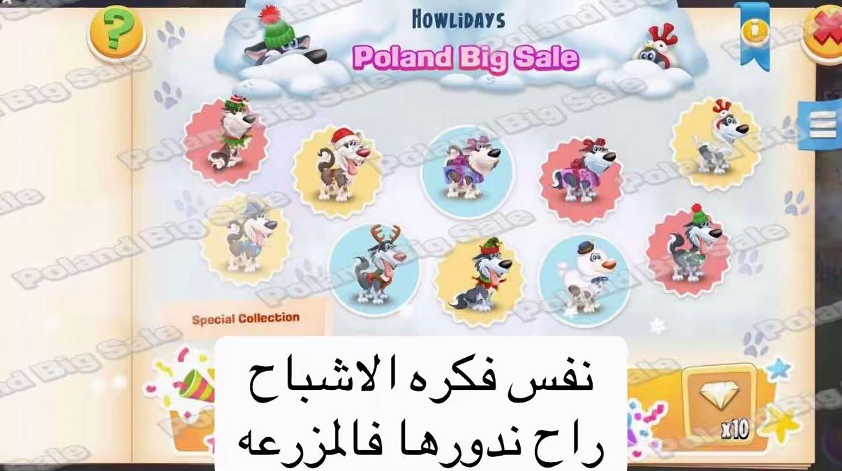 @هاي داي