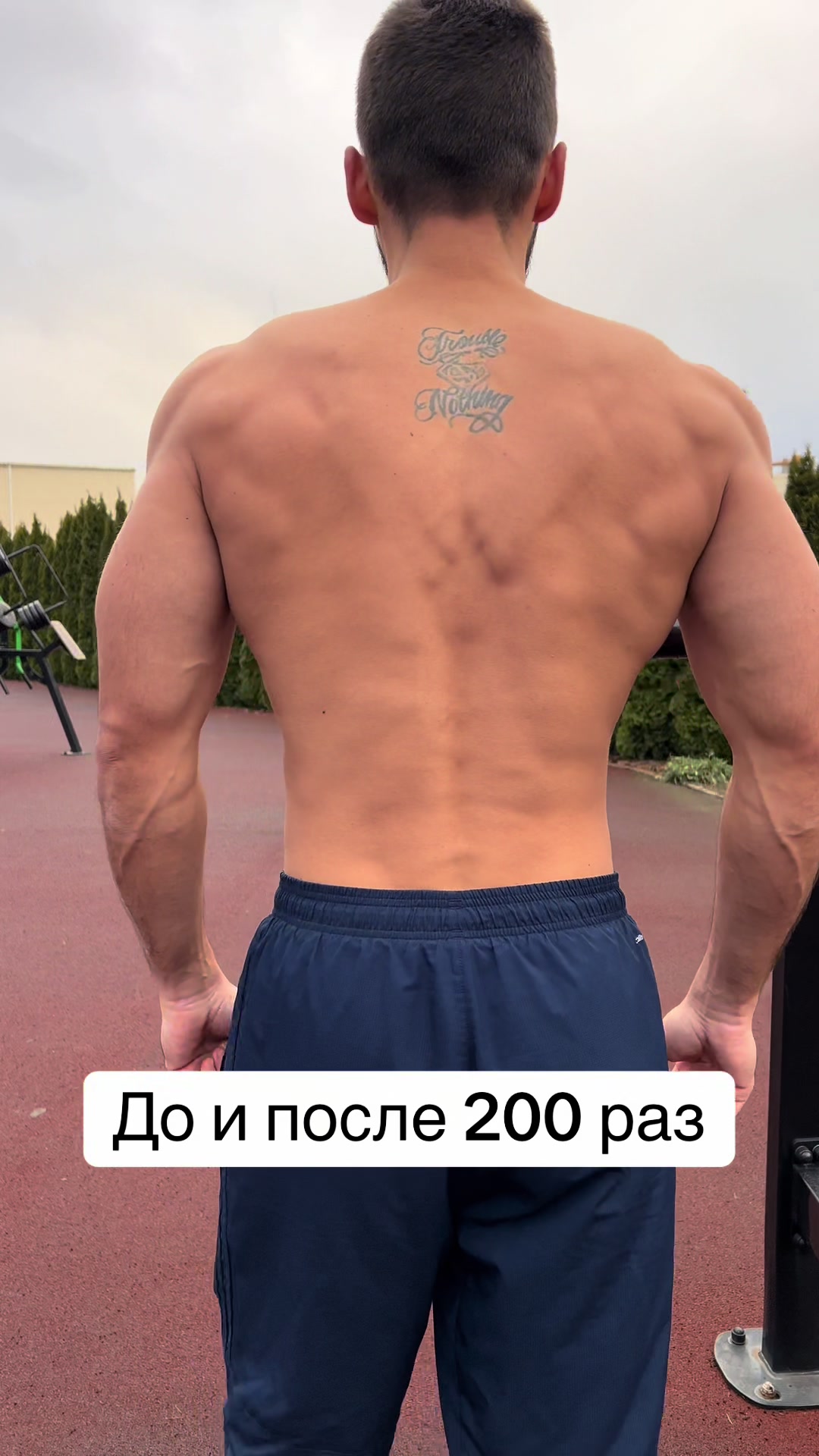 @enderdragon_art_sport