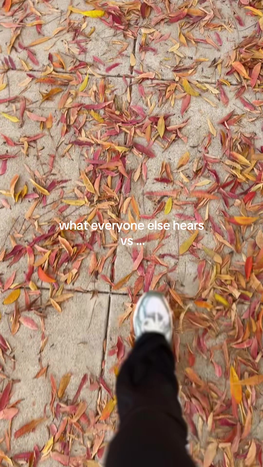 @Alexa