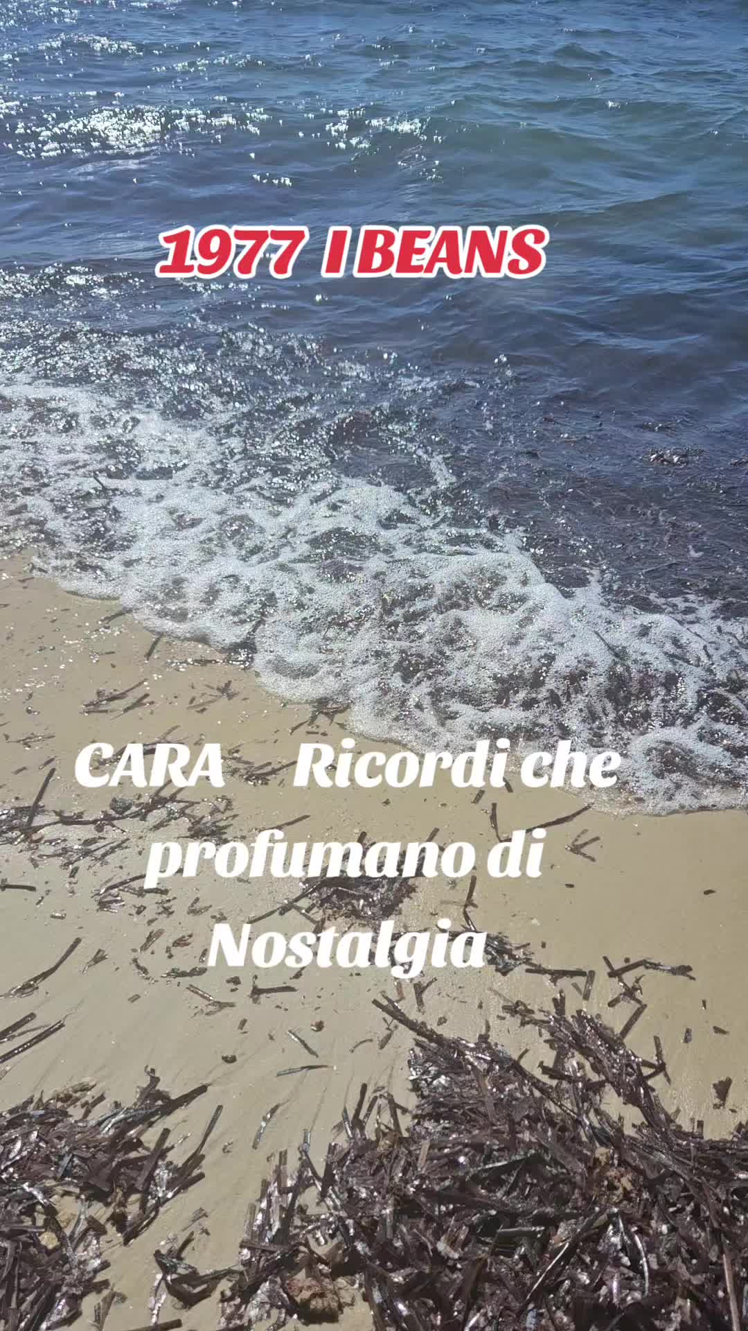 @MARIA TAGLIAFIERRO