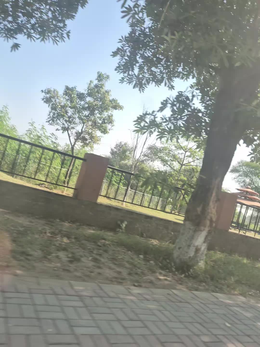 @star786