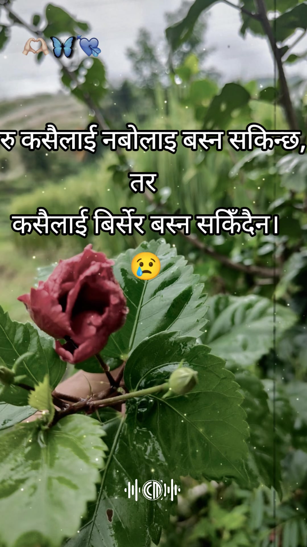 @Mr.Basnet