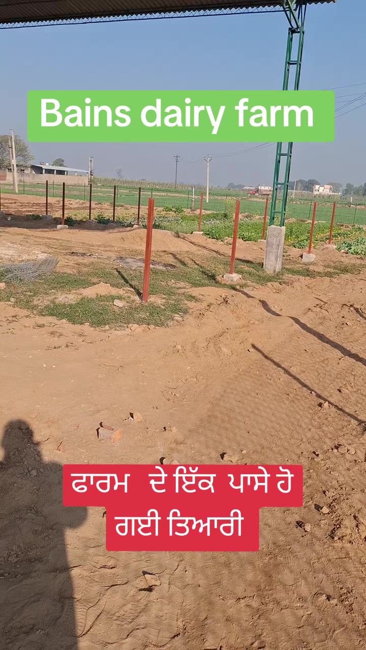 @MandeepBainspb12