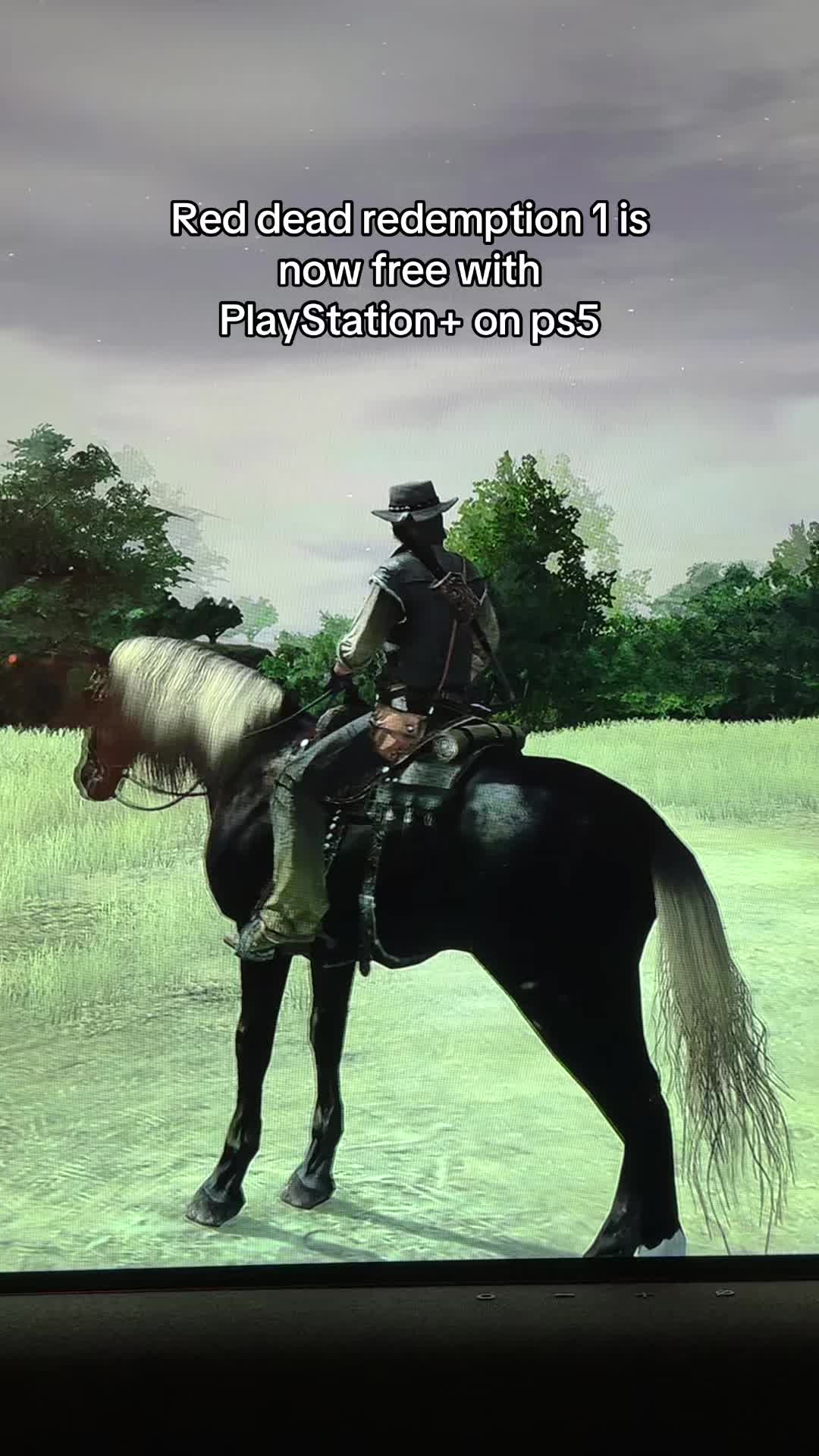 @Reddeadredemption 2