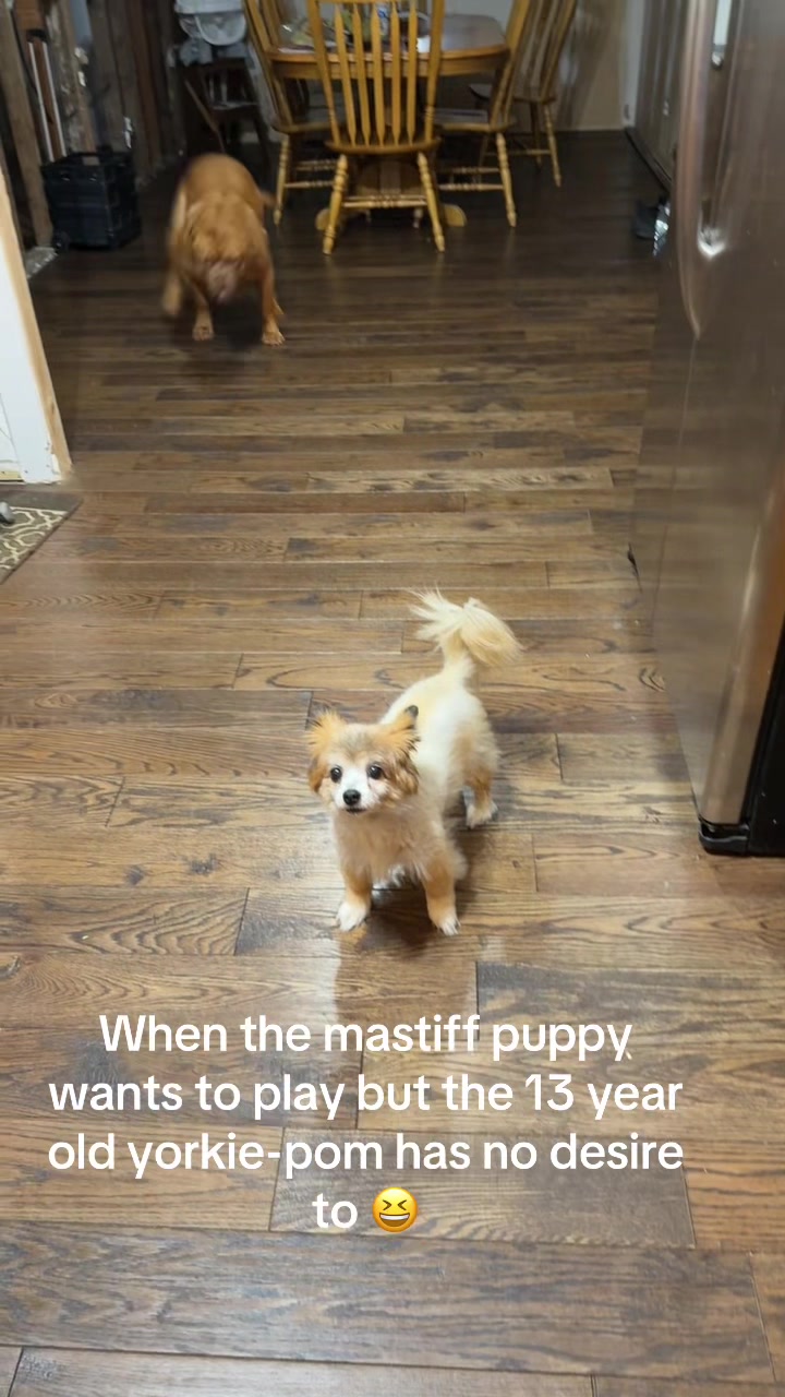 @MovingMamaMayfield