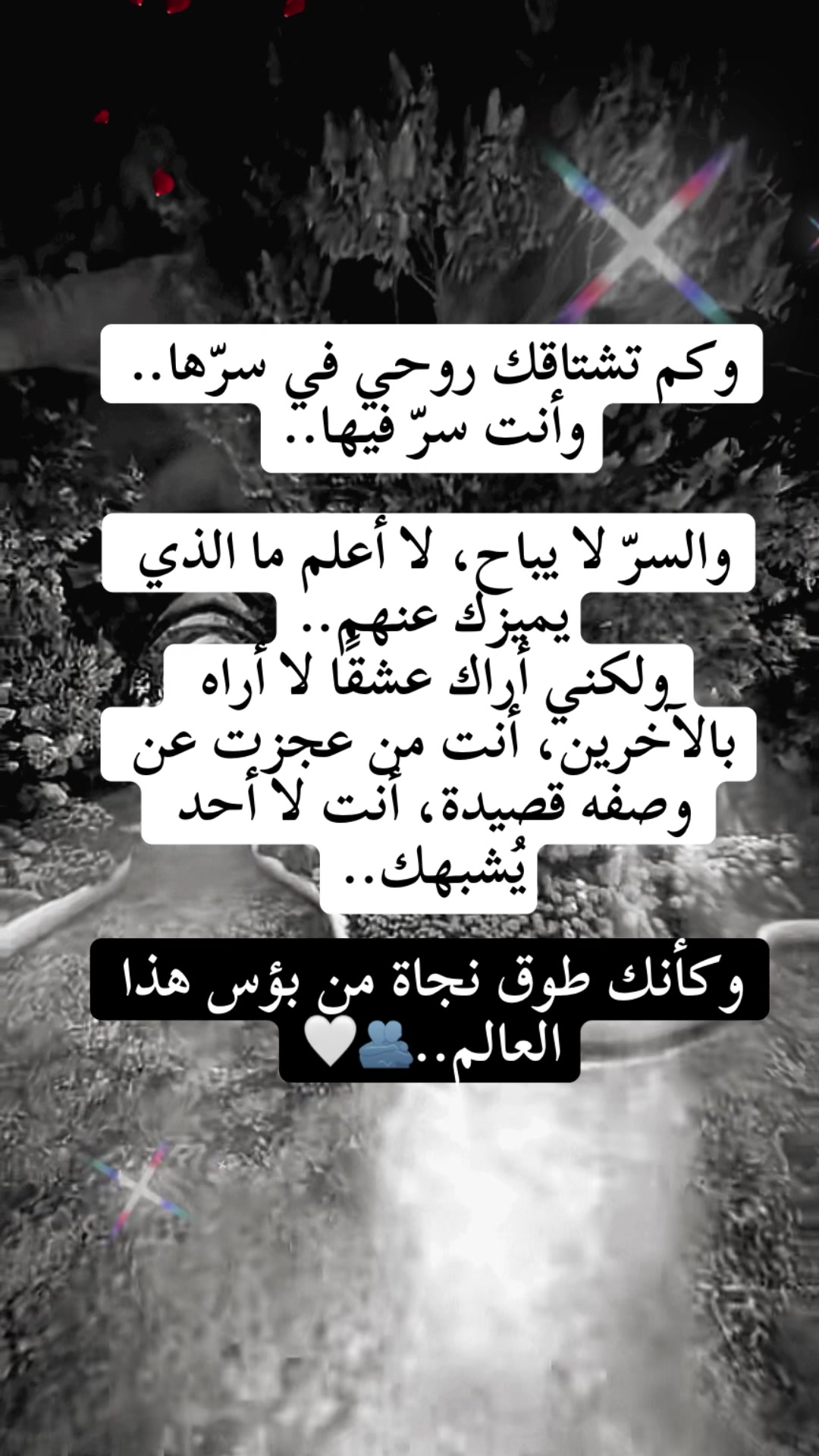 @🦅,,Jalal,,🦅