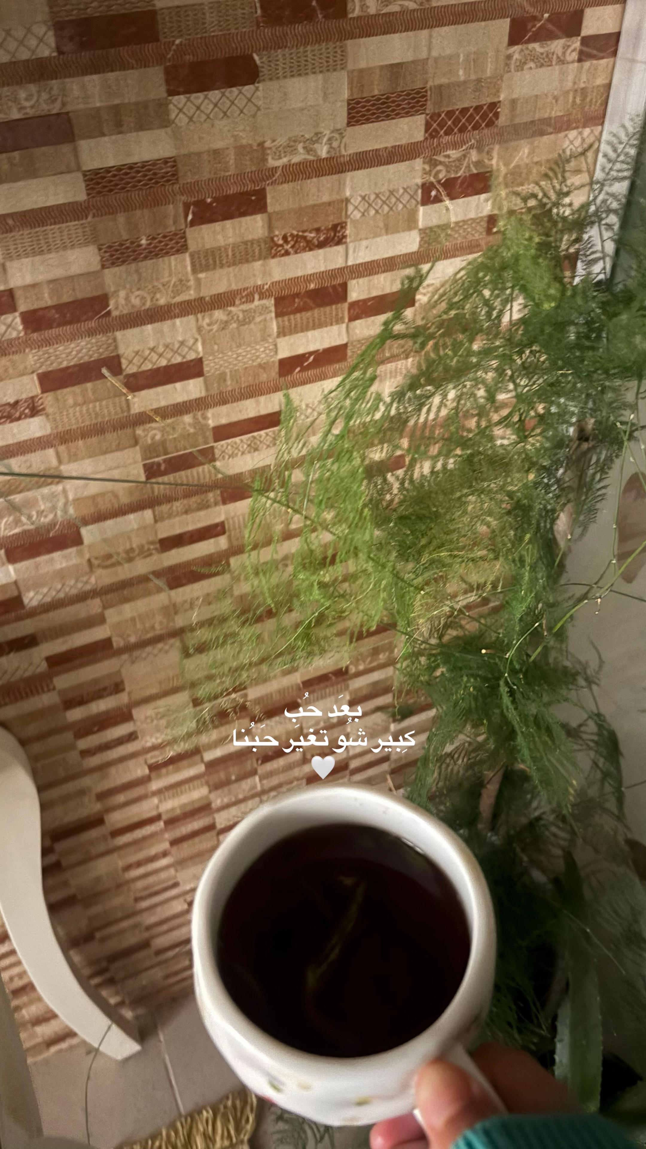 @noor_wael