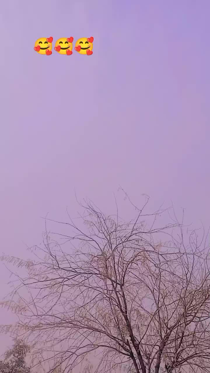 @Nowshera queen