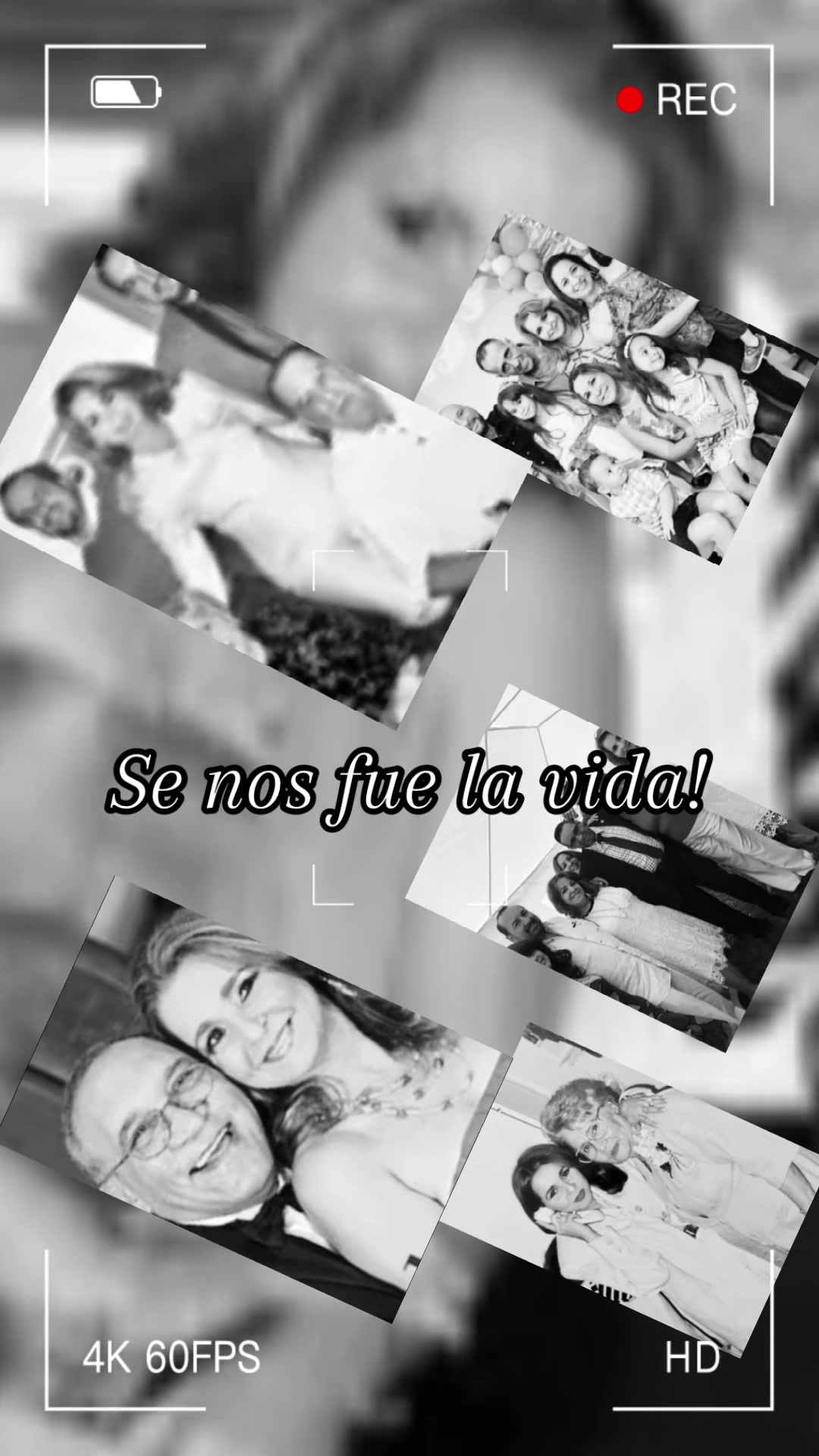 @13LesBelles13