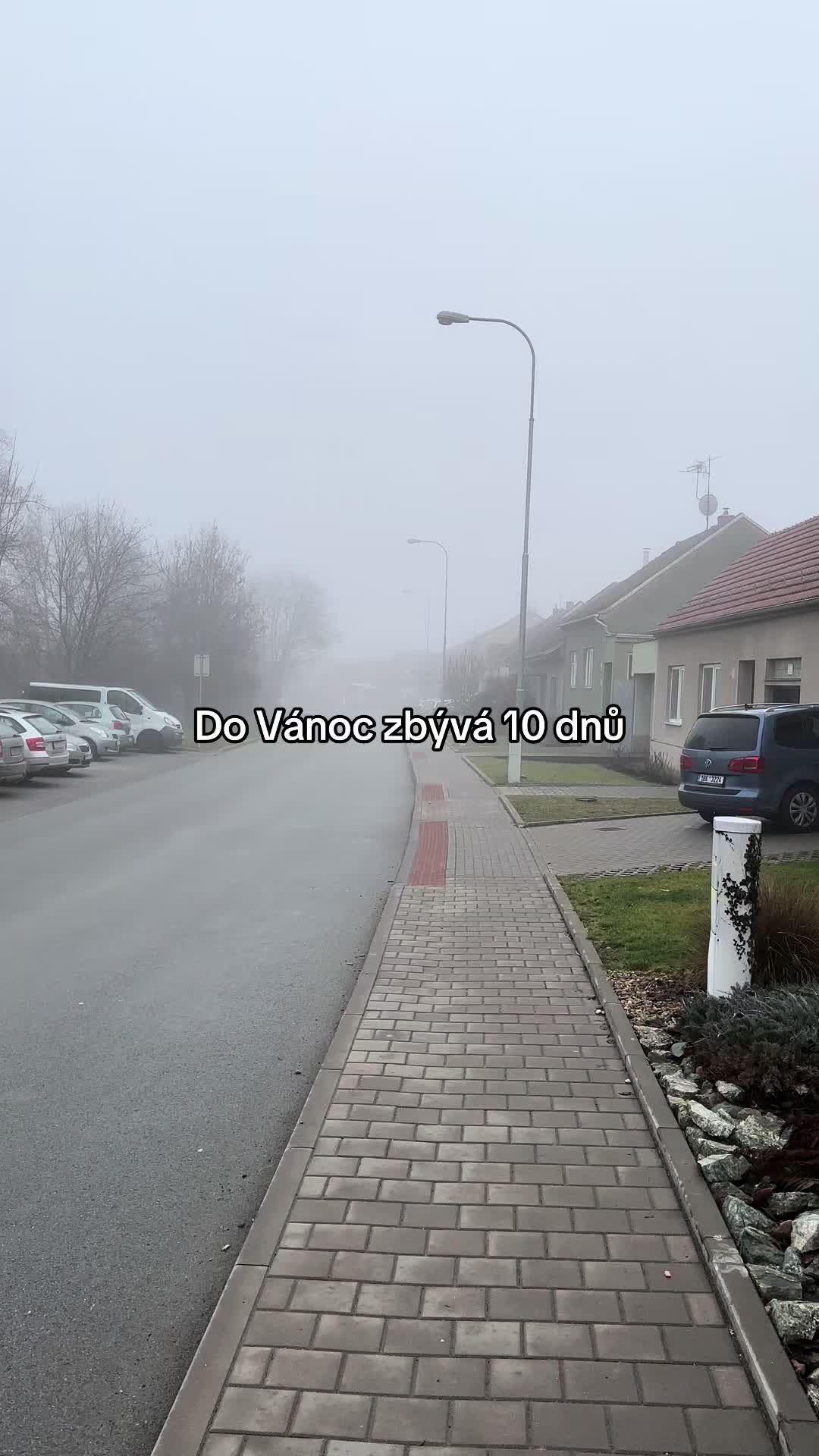 @prosteodpocty