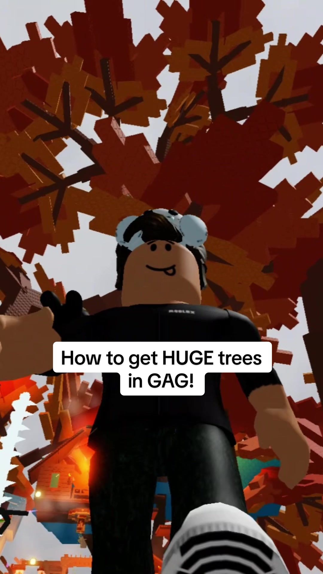 @masetjammers