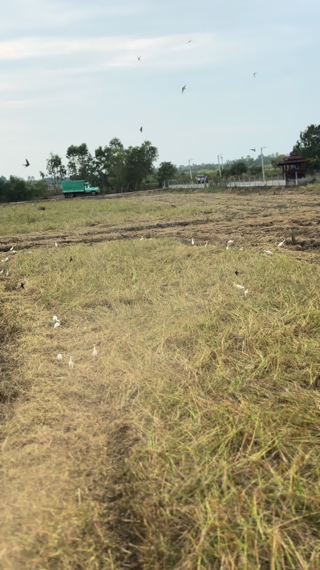@เป้ นอนน้อยยย