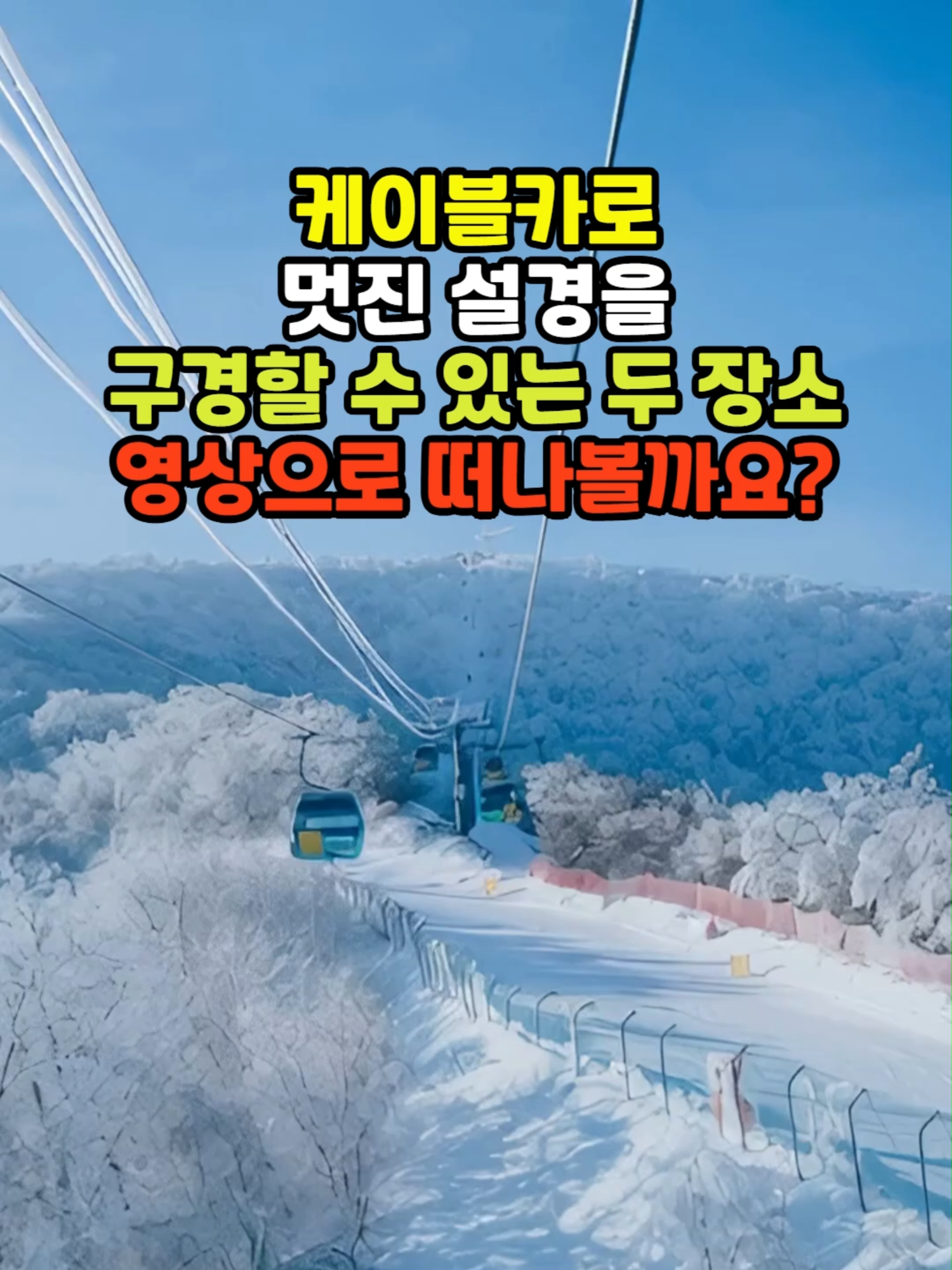 @꽃노리