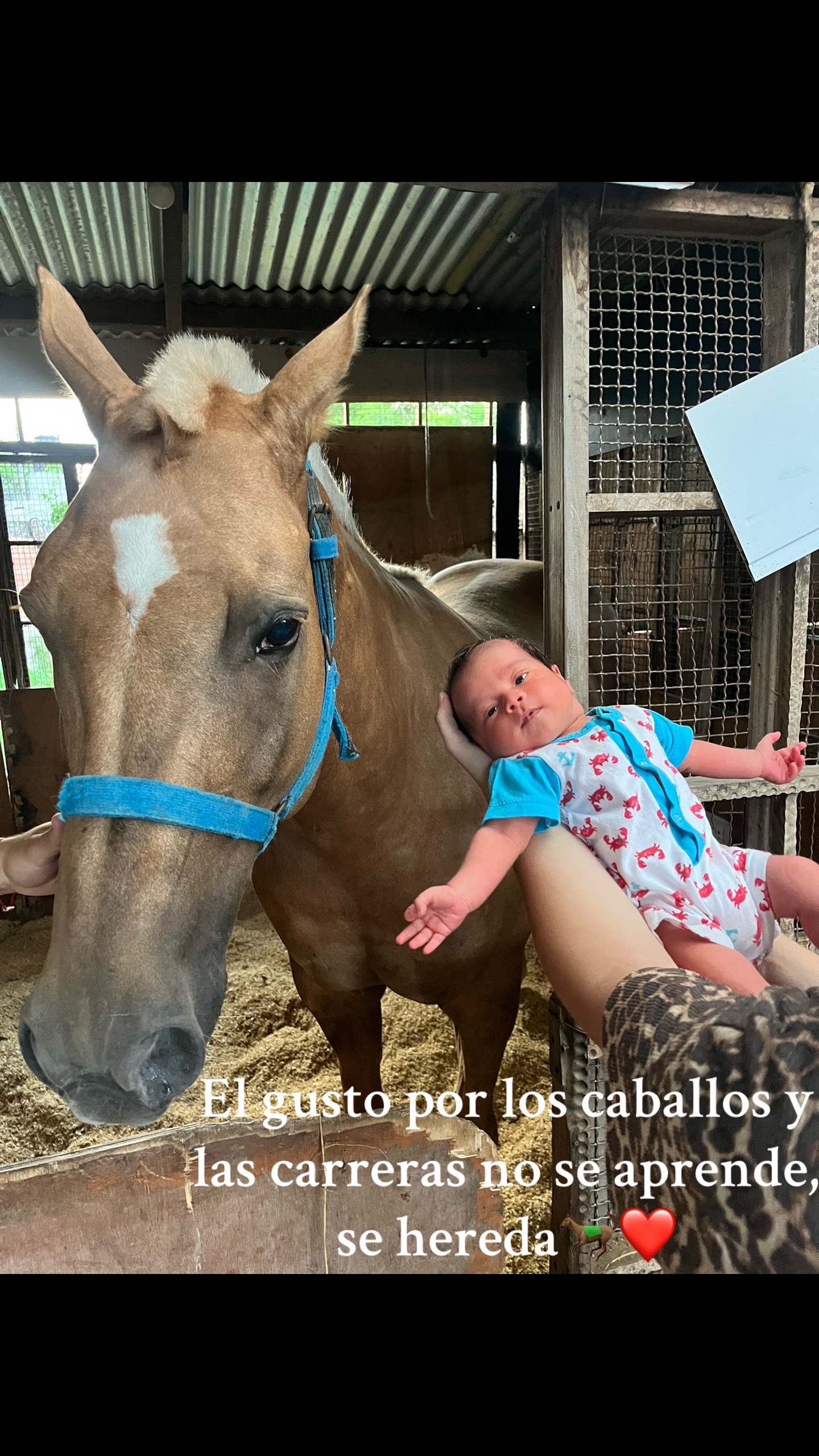 @Sol Lares