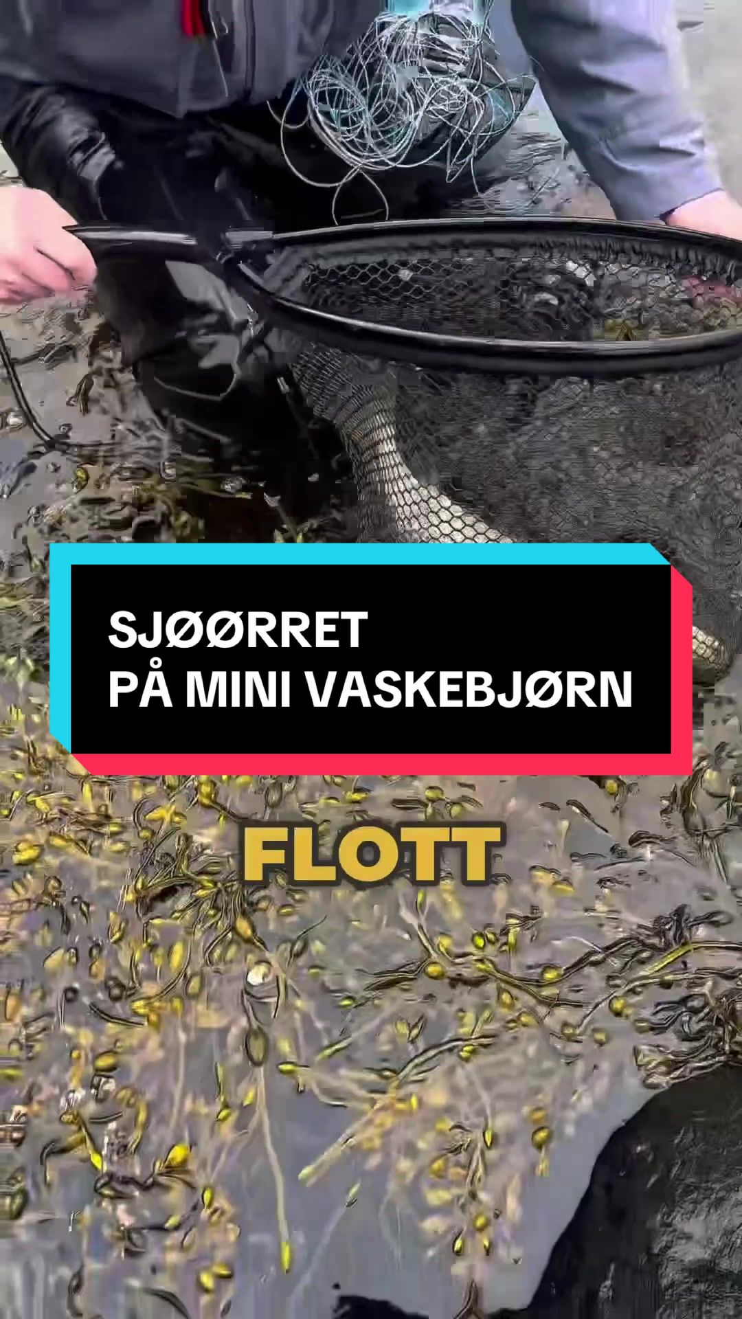 @S&oslash;rfiske