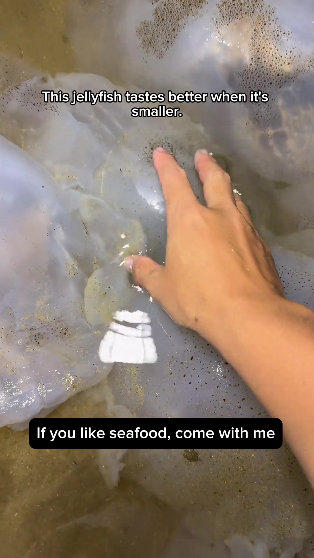 @Catch fish by hand