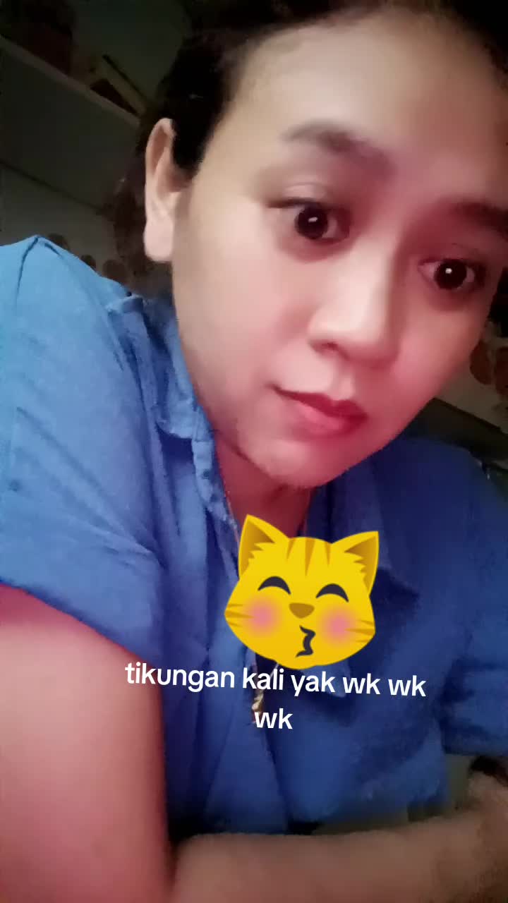 @Wilies🐱🐬