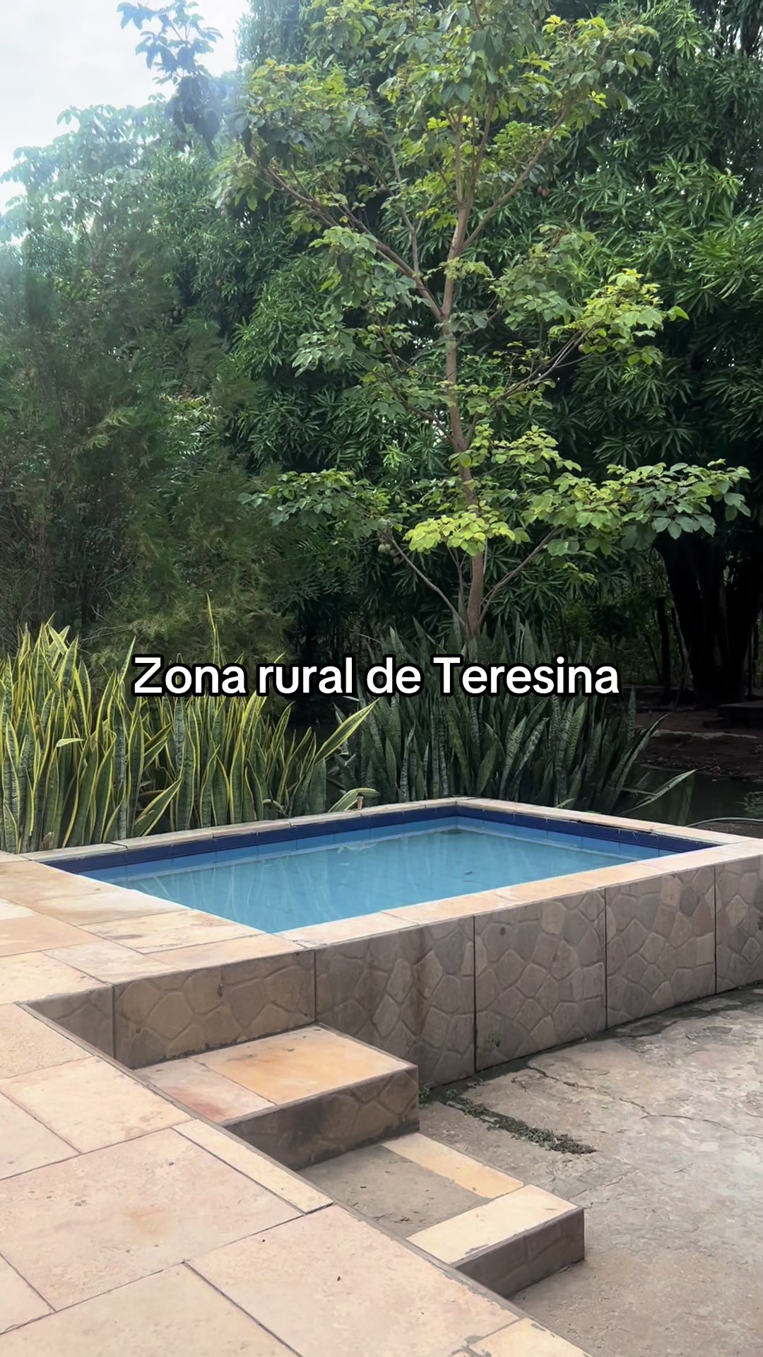 @soldeteresina