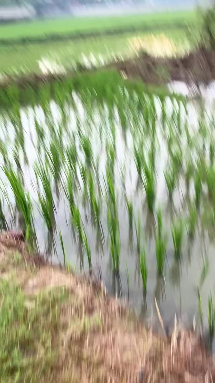 @stecu Fishing