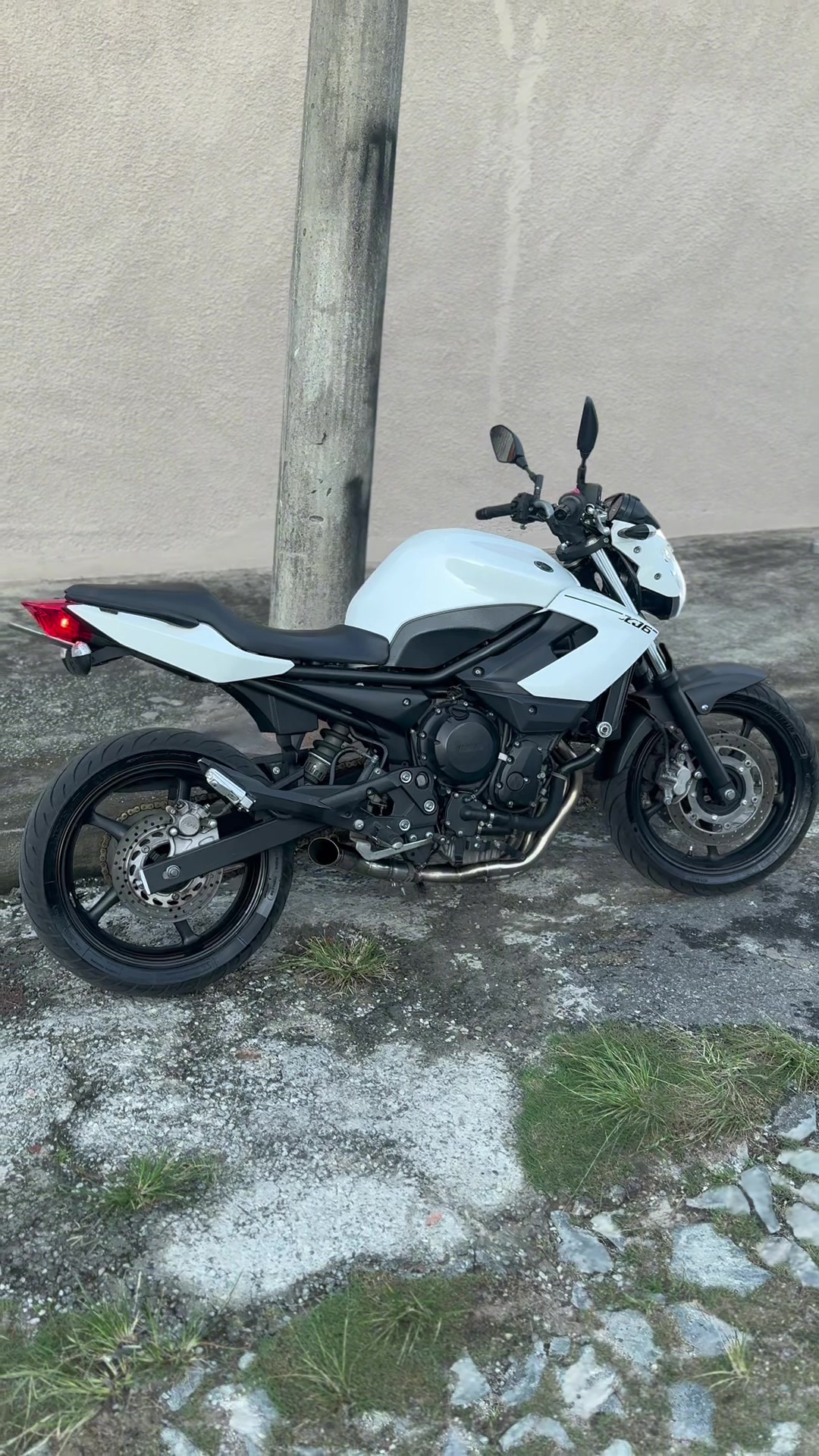 @João Tavares