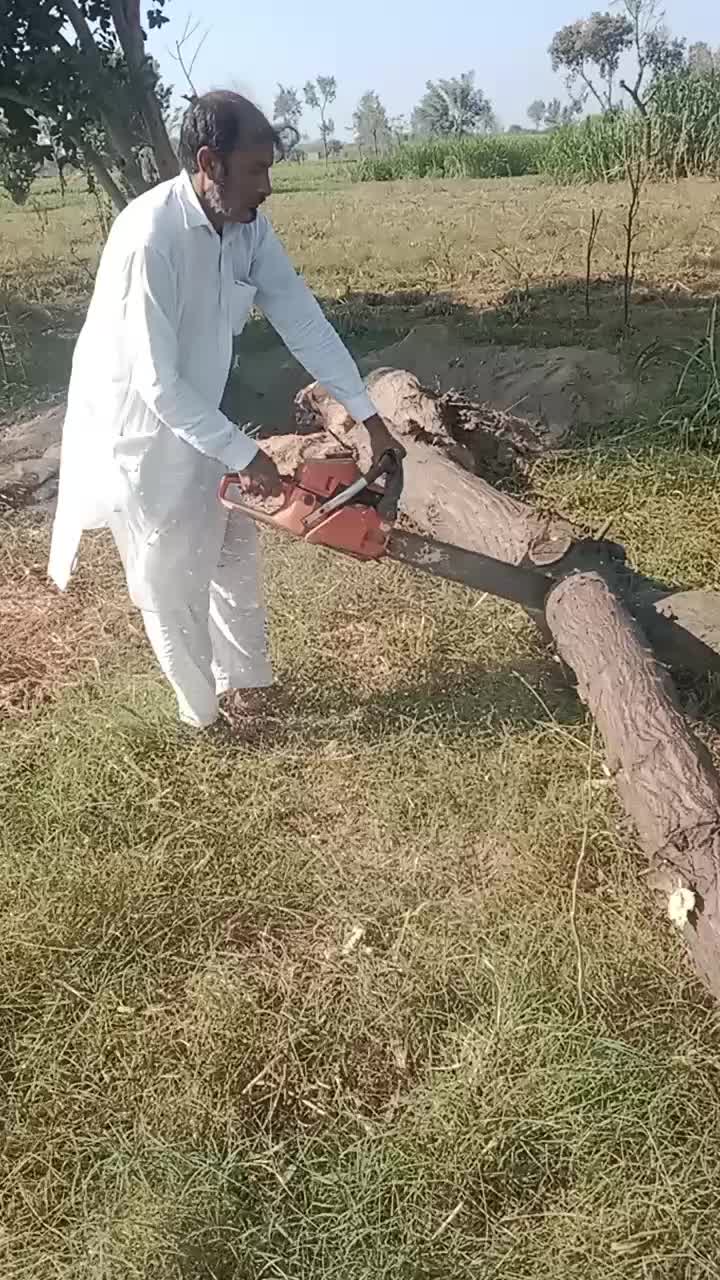 @Baba Mani