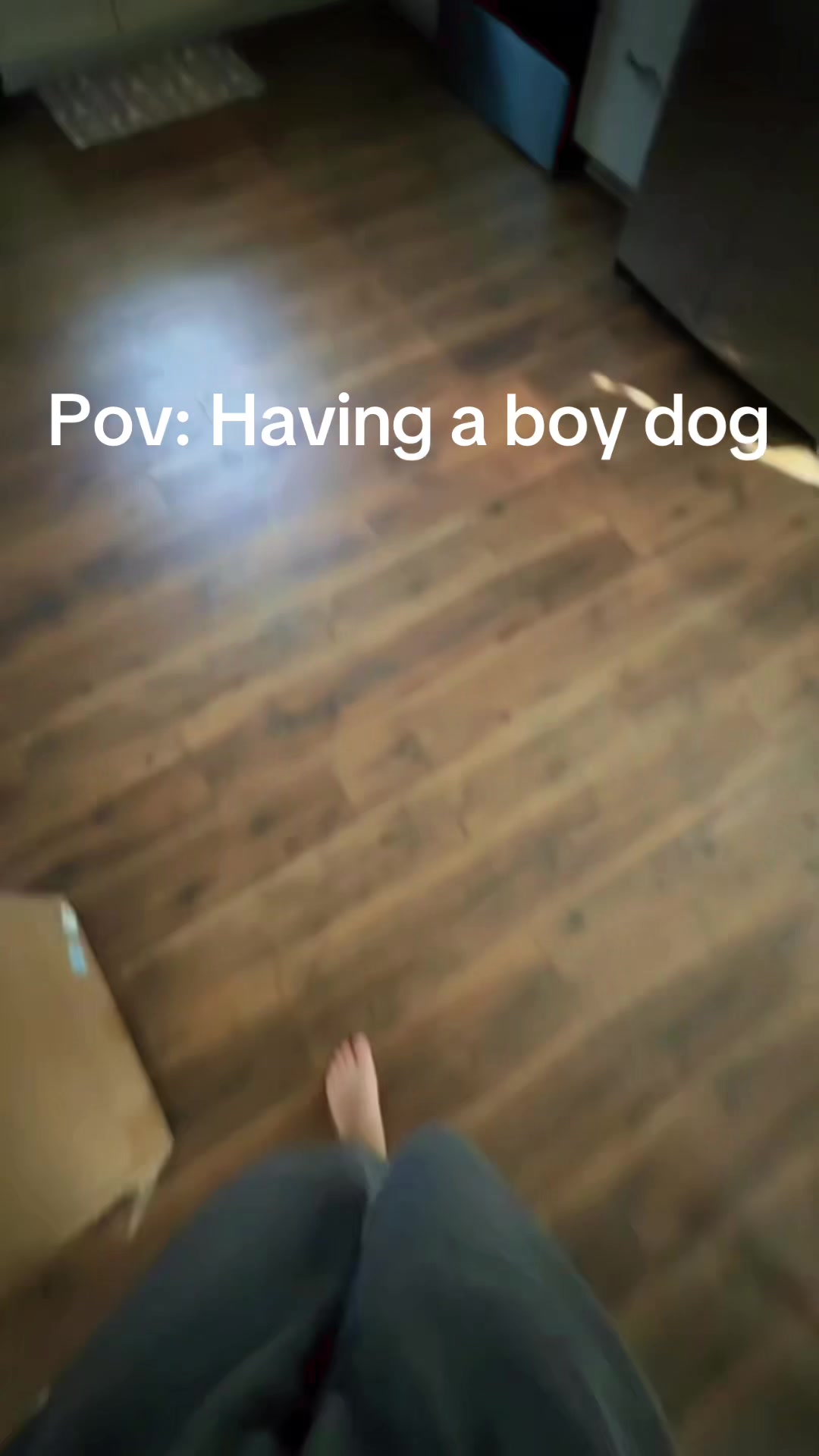 @lexiijessie